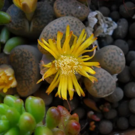 Bed & Breakfast Hermosa Vallermosa