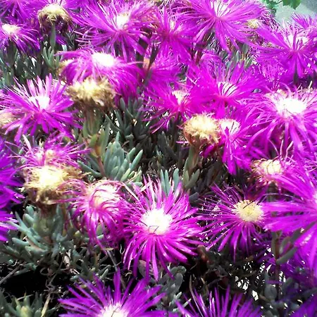 Alojamento de Acomodação e Pequeno-almoço Hermosa *