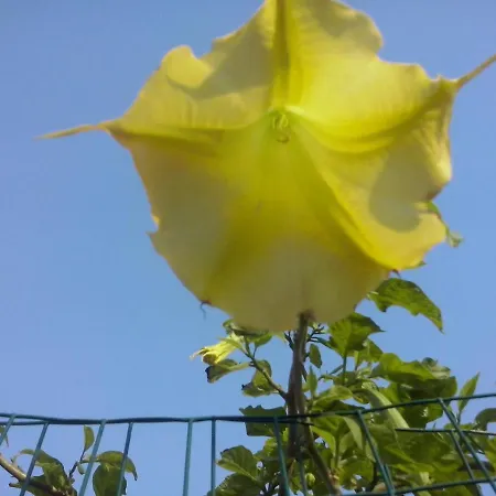 Alojamento de Acomodação e Pequeno-almoço Hermosa Vallermosa